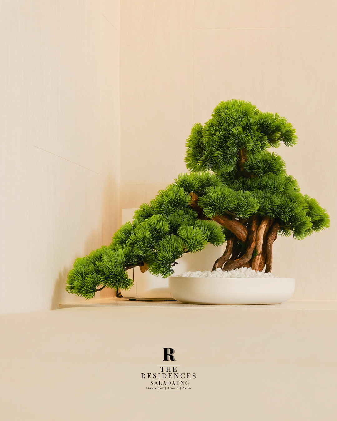 Hot Aromatherapy Essential Oil